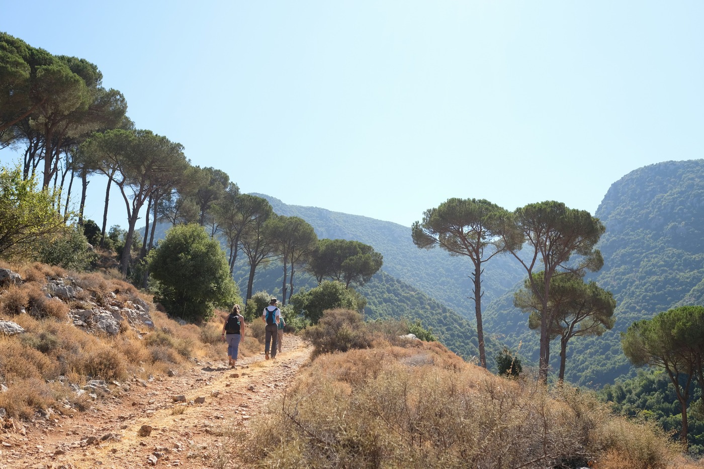 Hiking around Silves Hills